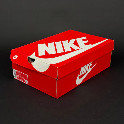 Nike Dunk High Michigan (2020)