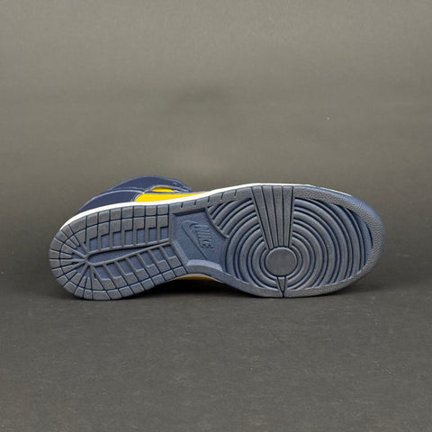 Nike Dunk High Michigan (2020)