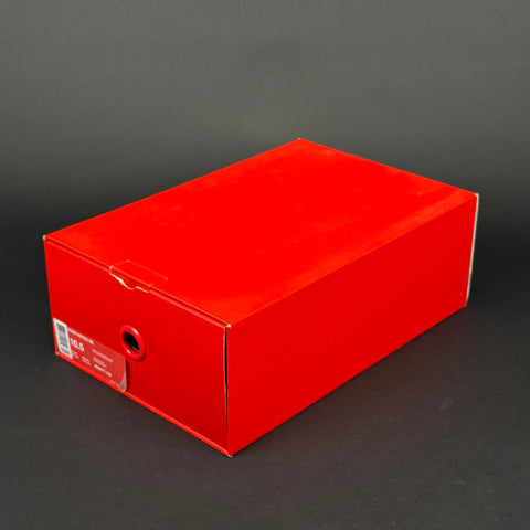 Nike Dunk High Michigan (2016)