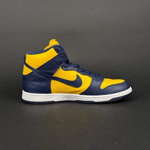 Nike Dunk High Michigan (2016)
