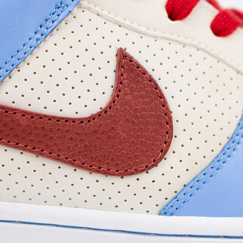 Nike Dunk Low Doernbecher Ricky Rudd