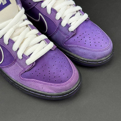 Nike SB Dunk Low Concepts Purple Lobster