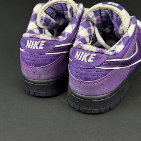 Nike SB Dunk Low Concepts Purple Lobster