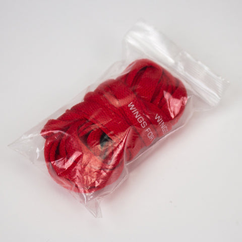 Jordan 1 Dave White Wings for the Future