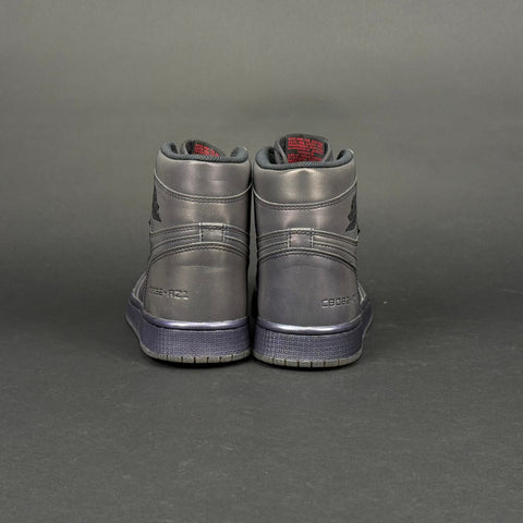 Jordan 1 High Zoom Fearless