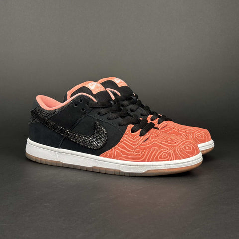 Nike SB Dunk Low Premier Fish Ladder