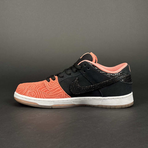 Nike SB Dunk Low Premier Fish Ladder