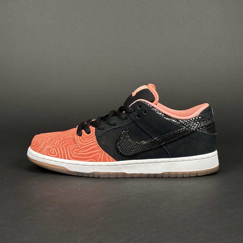 Nike SB Dunk Low Premier Fish Ladder