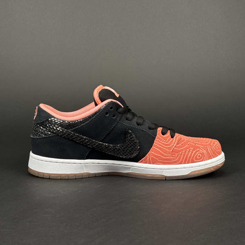 Nike SB Dunk Low Premier Fish Ladder